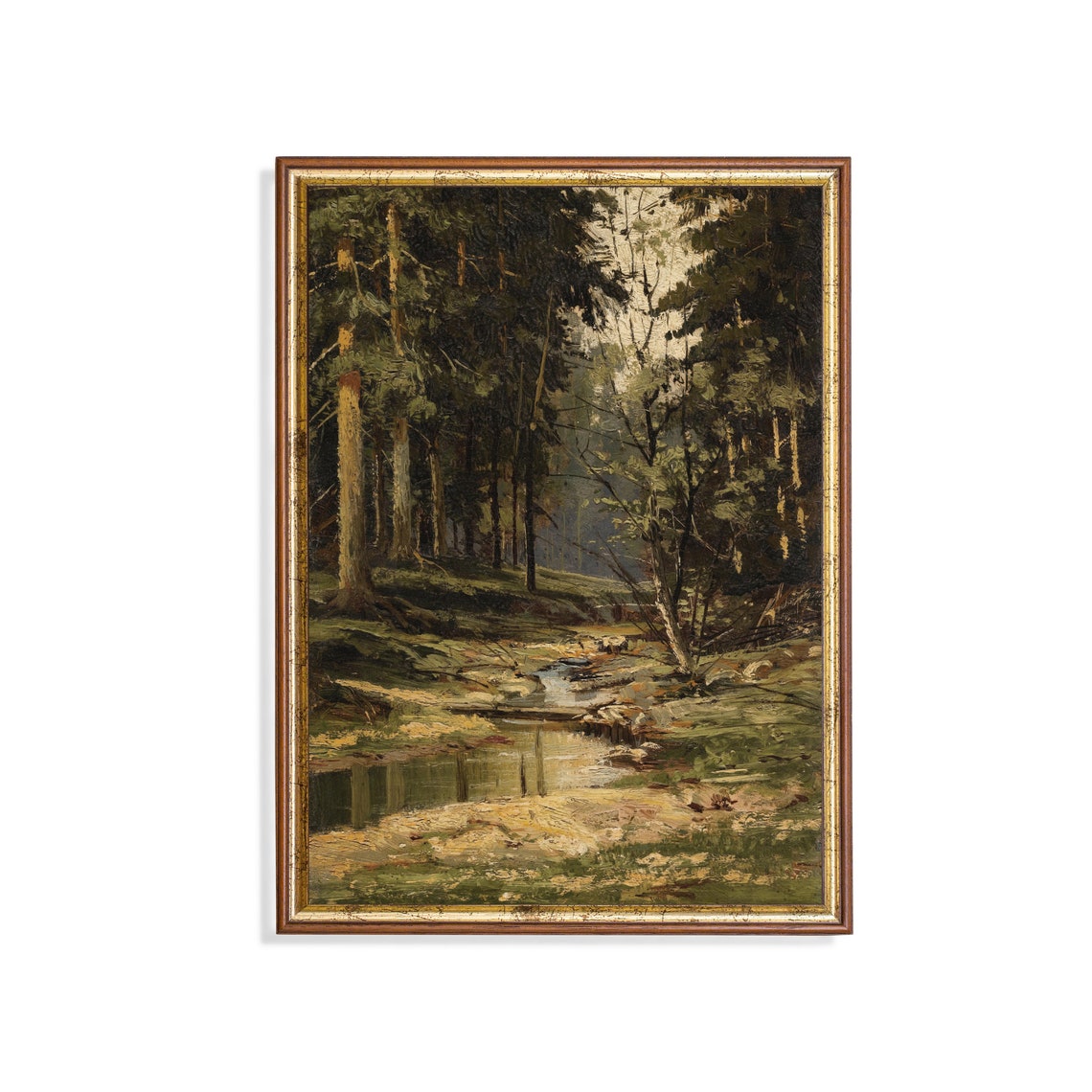 Dark Pine Forest Stream Winding Through Moody Woodland Poster