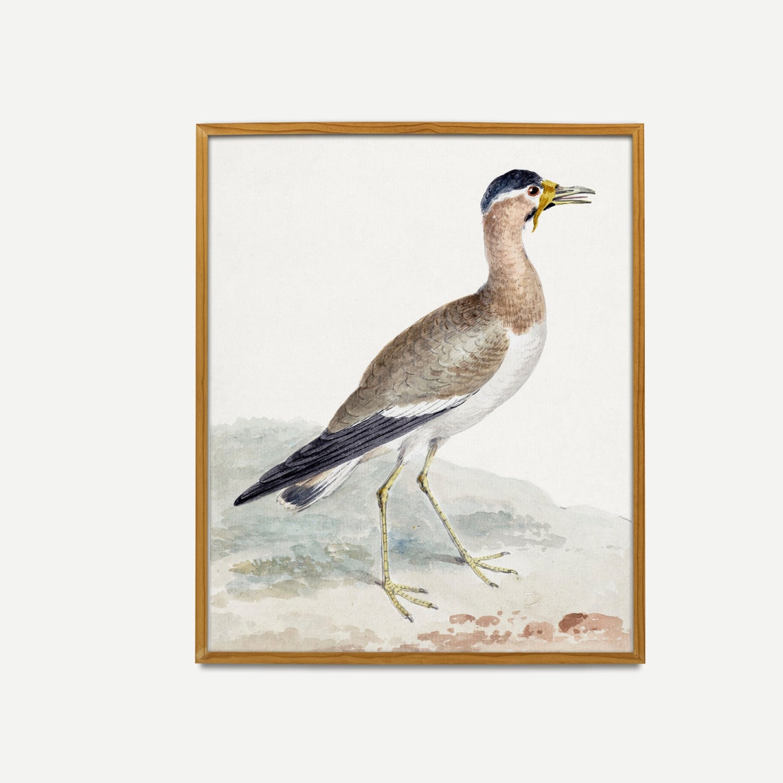Yellow-Legged Wading Bird Antique Natural History Watercolor Poster - Image 3