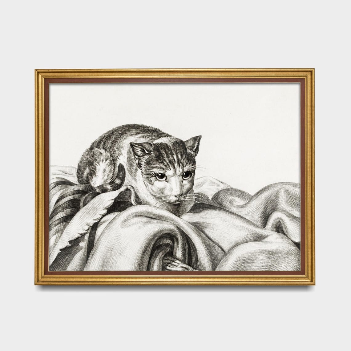 Cat Resting on Draped Fabric Vintage Graphite Drawing Poster - Image 5