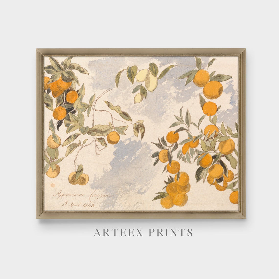 Orange and Lemon Branches Botanical Watercolor Dated 1863 Poster - Image 5