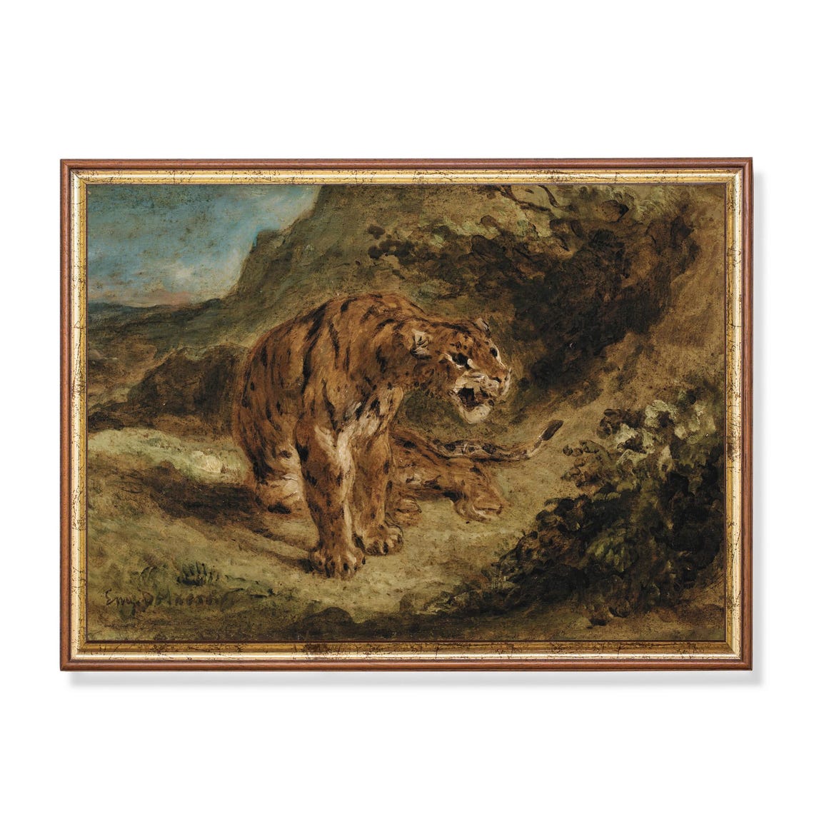 Snarling Tiger Rocky Landscape Dramatic Vintage Animal Art Poster