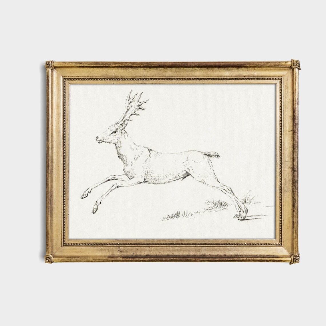 Leaping Stag Pencil Sketch Antlered Deer Wildlife Drawing Poster - Image 4