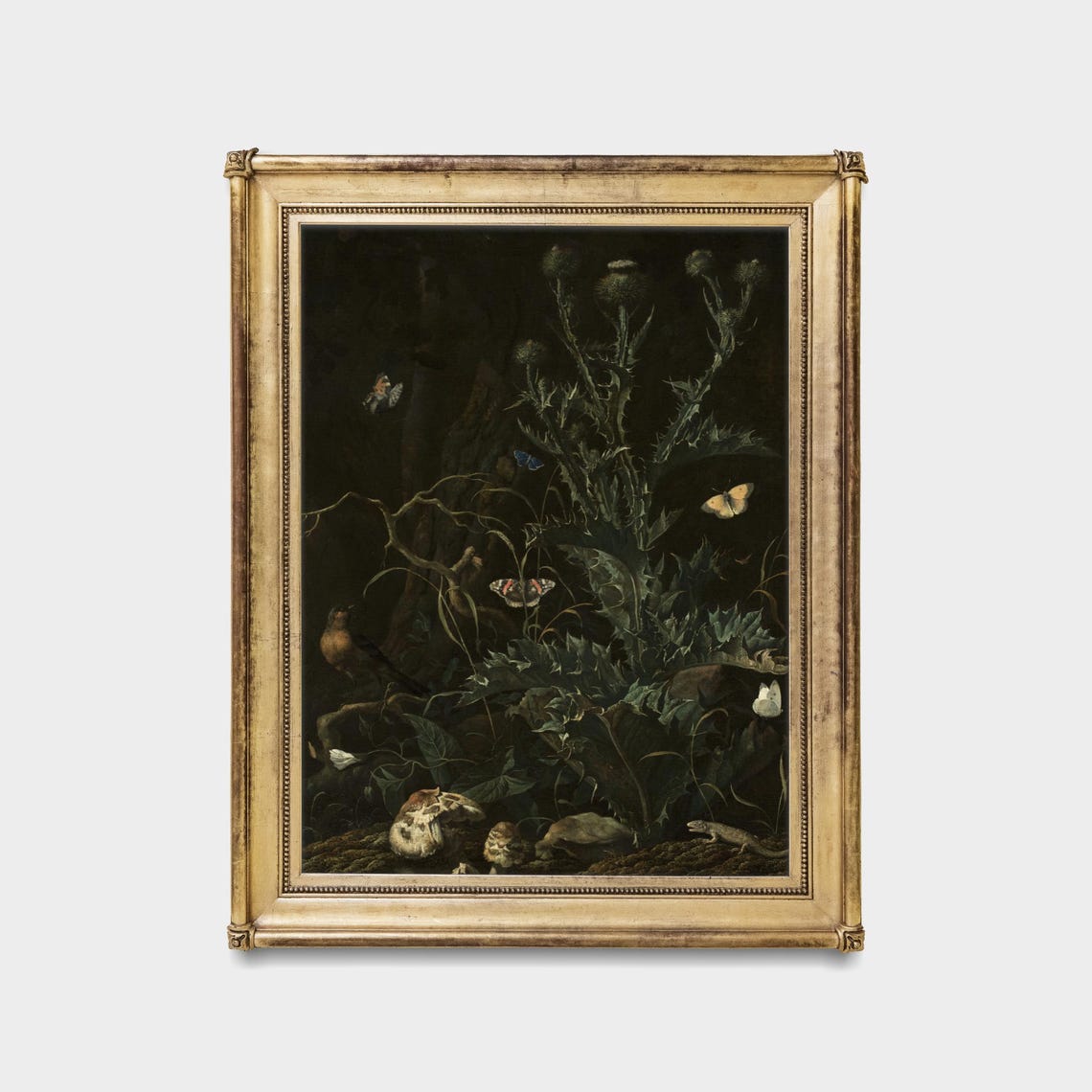 Dark Forest Floor with Thistles Butterflies and Moth Still Life Poster - Image 5