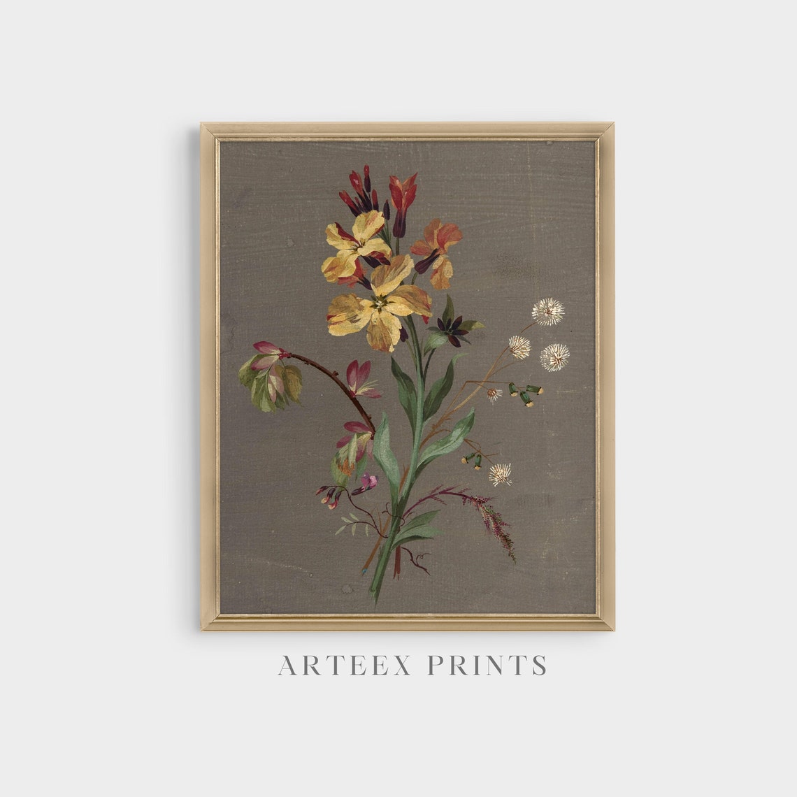 Antique Wallflower Botanical Sketch on Grey Paper Floral Poster - Image 5
