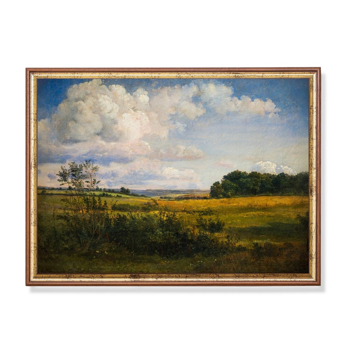 Sunlit Summer Meadows Under Towering Clouds Landscape Poster