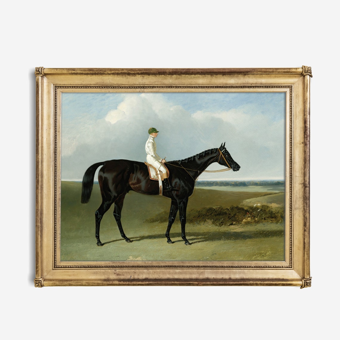 Jockey in White Silks on a Dark Bay Racehorse on Green Downs Poster - Image 2