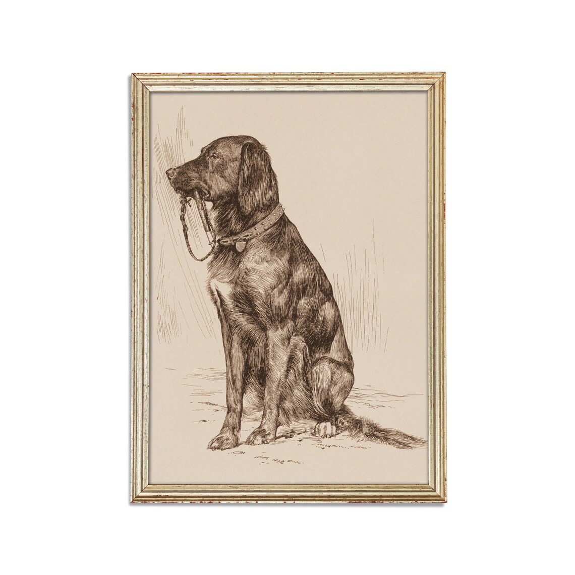 Vintage Dog Portrait Antique Drawing Art Print - Image 2