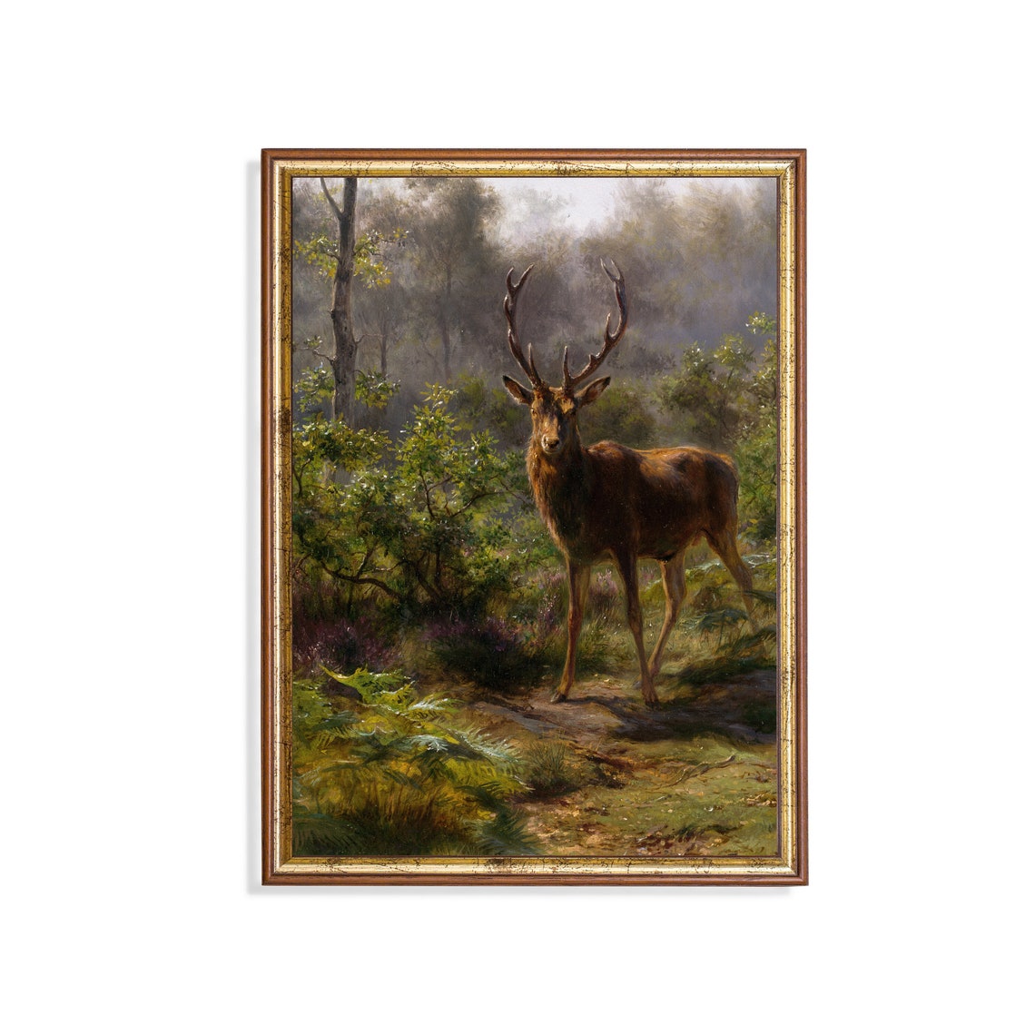 Red Deer Stag in a Forest Clearing Vintage Animal Painting Poster