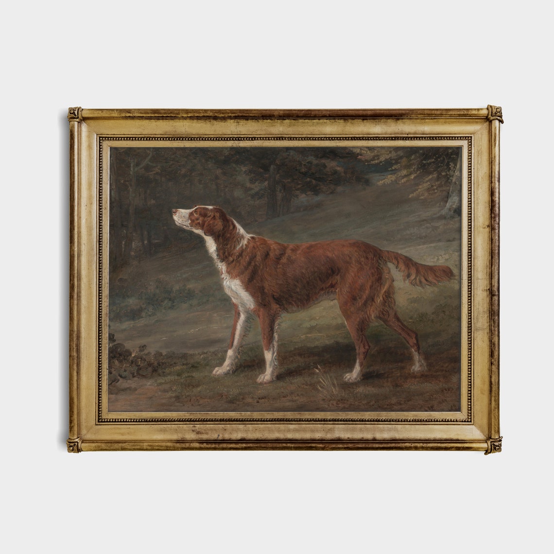 Red Setter Dog in a Woodland Glade Vintage Oil Painting Poster - Image 3