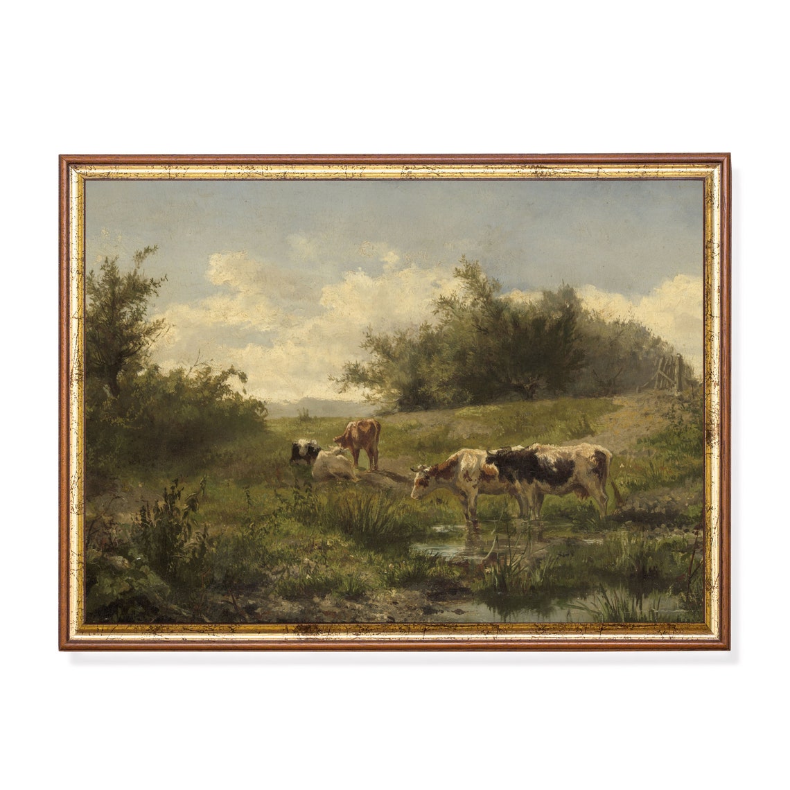 Cattle Drinking at a Stream in a Green Pasture Antique Print