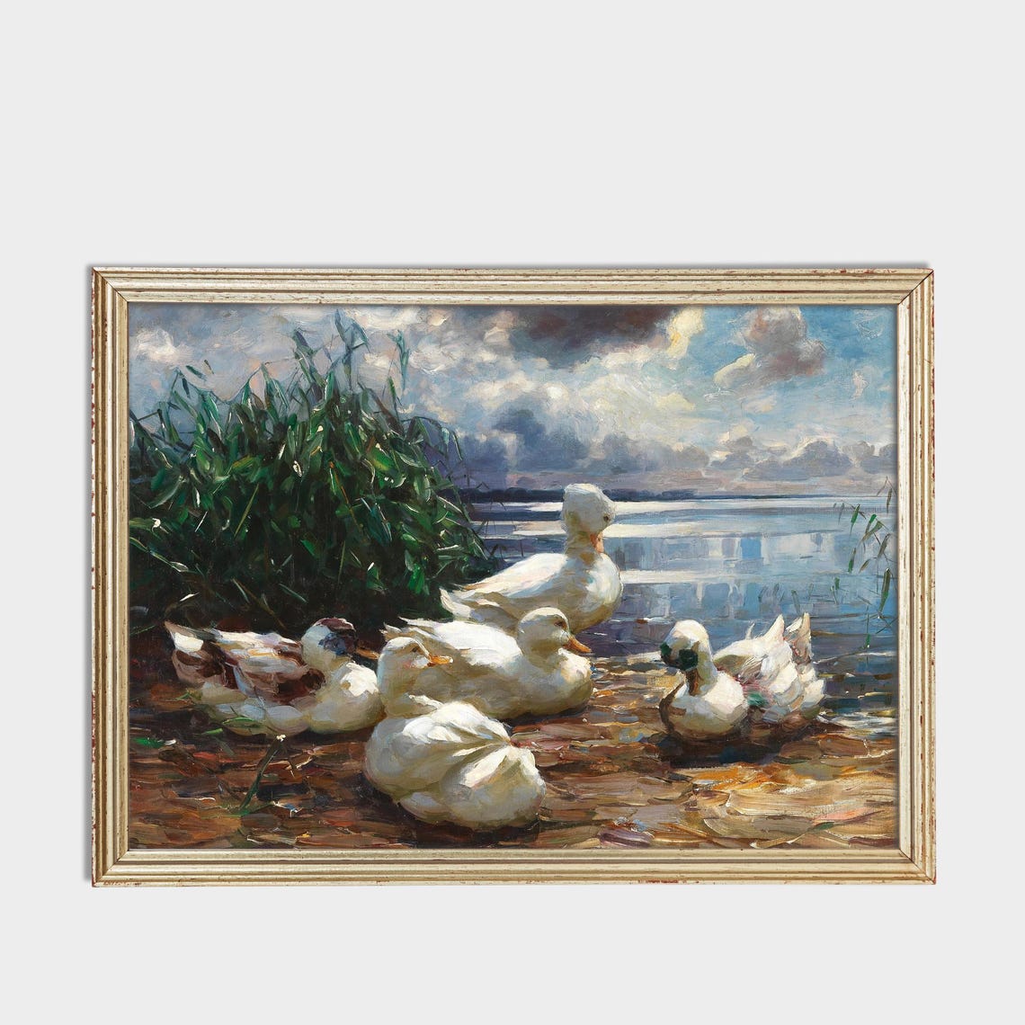 A Flock of White Ducks at the Water's Edge Vintage Bird Poster - Image 3