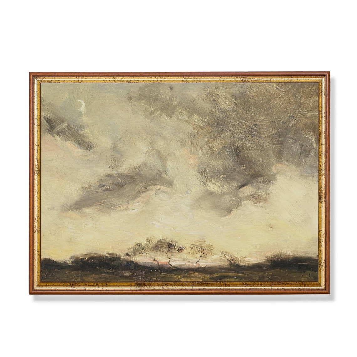 Moody Gray Cloud Study Over Dark Open Fields Vintage Sky Poster