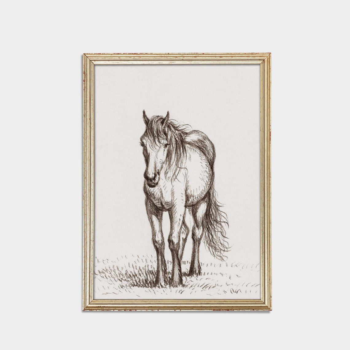Standing Horse Front View Ink Sketch Antique Equestrian Poster - Image 2