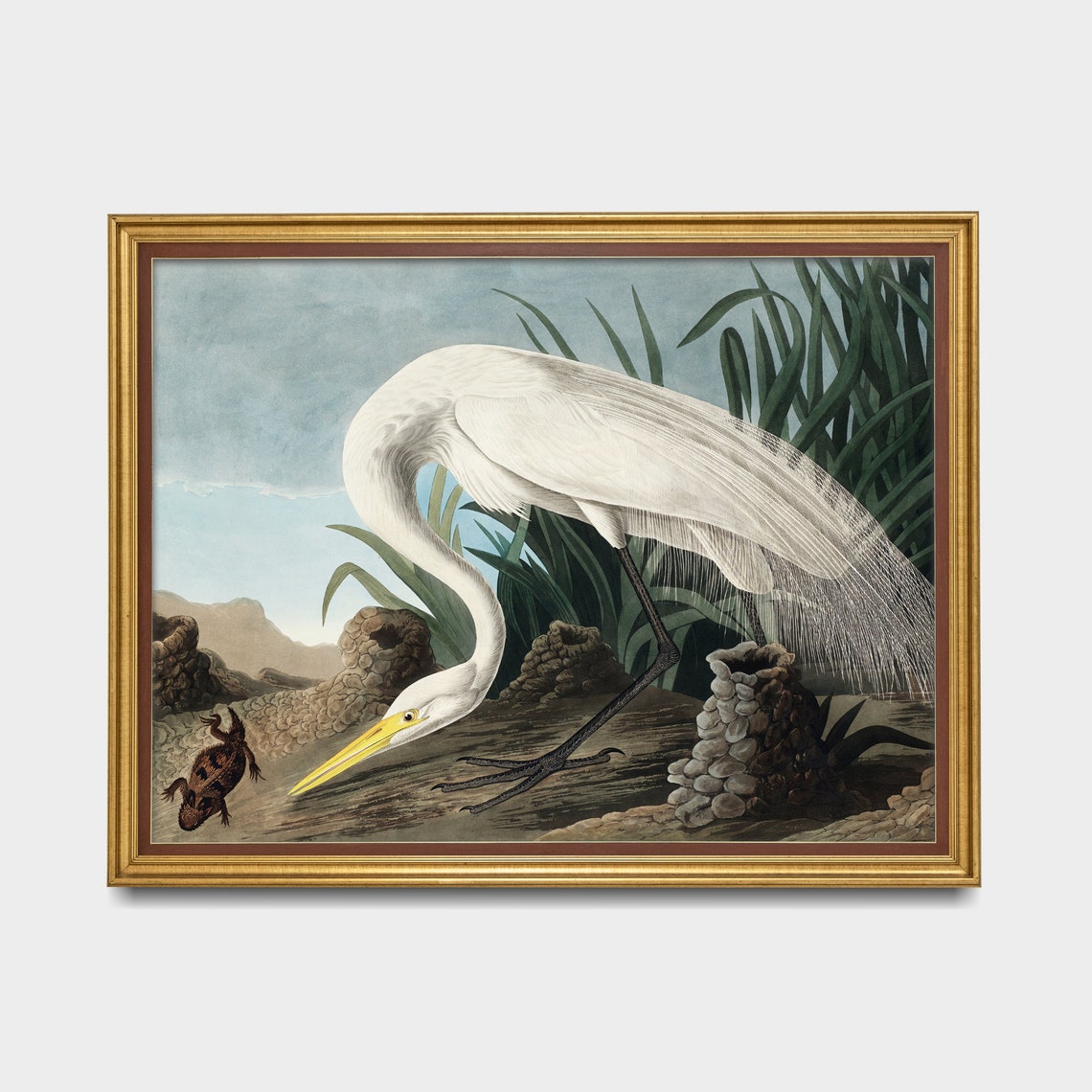 Great White Heron Striking Prey Vintage Bird Illustration Poster - Image 5