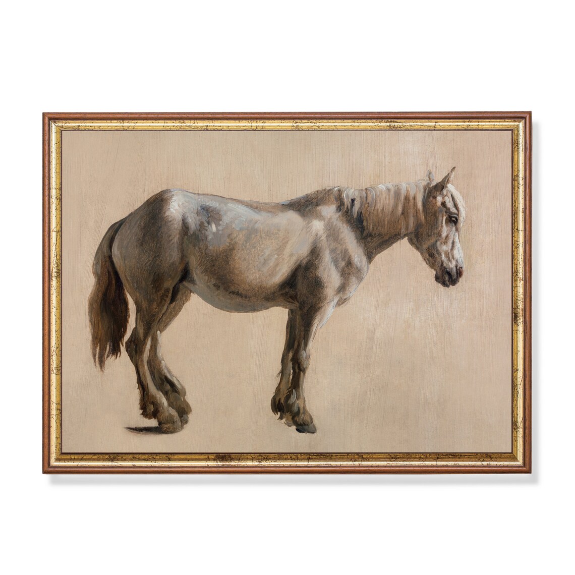 Standing Grey Horse Study Vintage Equestrian Oil Painting Poster