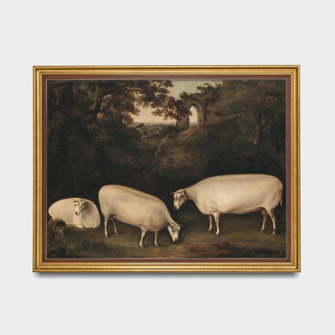 Three White Sheep In Wooded Landscape Vintage Pastoral Animal Poster - Image 2