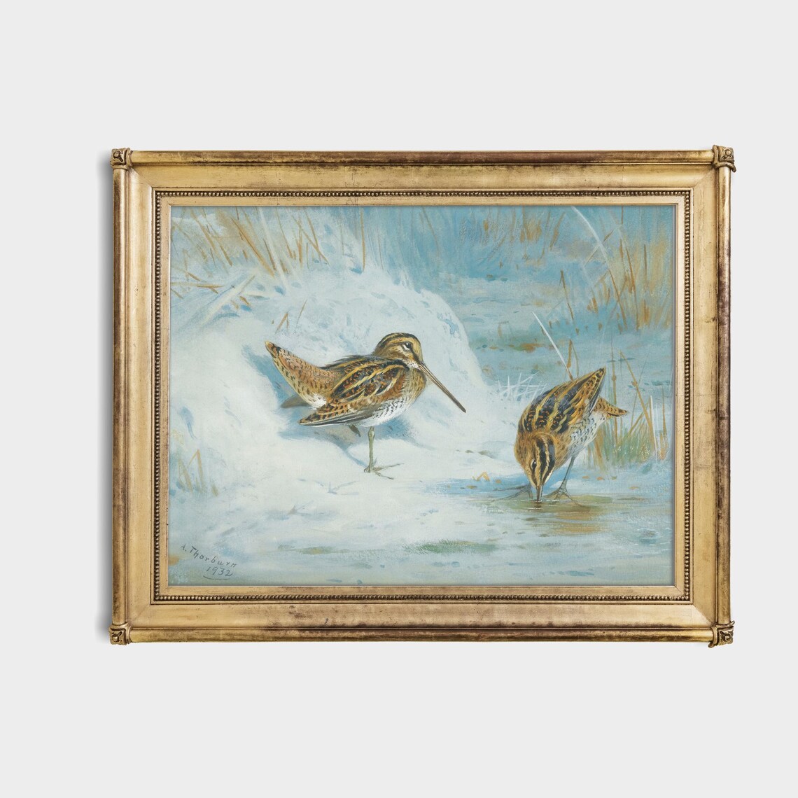 Pair Of Snipe In A Snowy Winter Stream Bird Painting Vintage Poster - Image 4