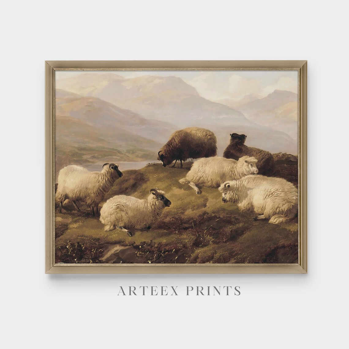Sheep Resting on a Highland Moor Vintage Oil Painting Animal Poster - Image 3