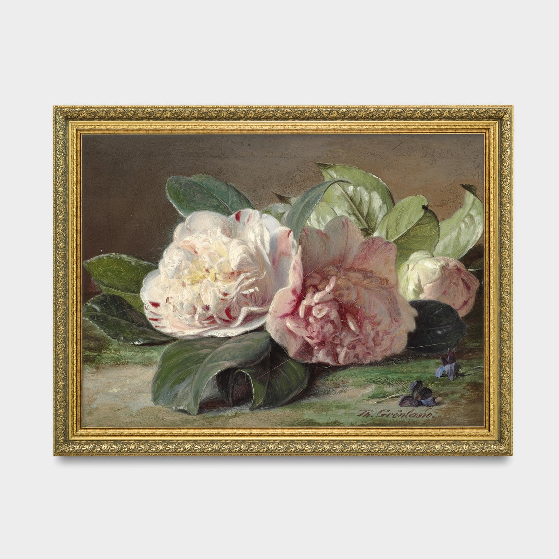 Pink Camellia Blossoms with Glossy Leaves Signed Still Life Poster - Image 2