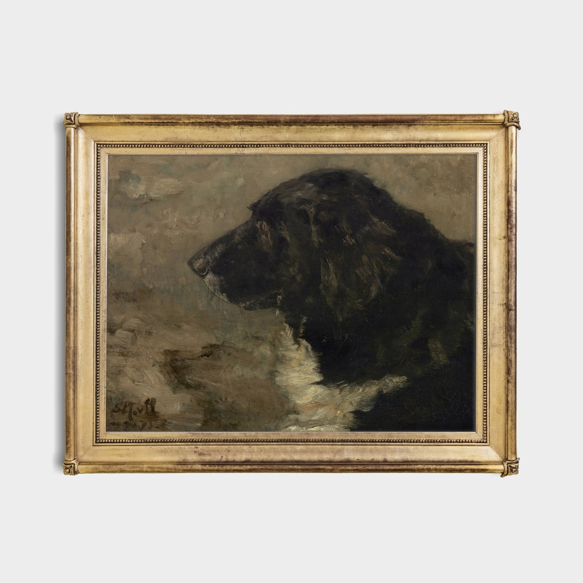 Dark Profile Study of a Black Dog Moody Canine Portrait Poster - Image 2