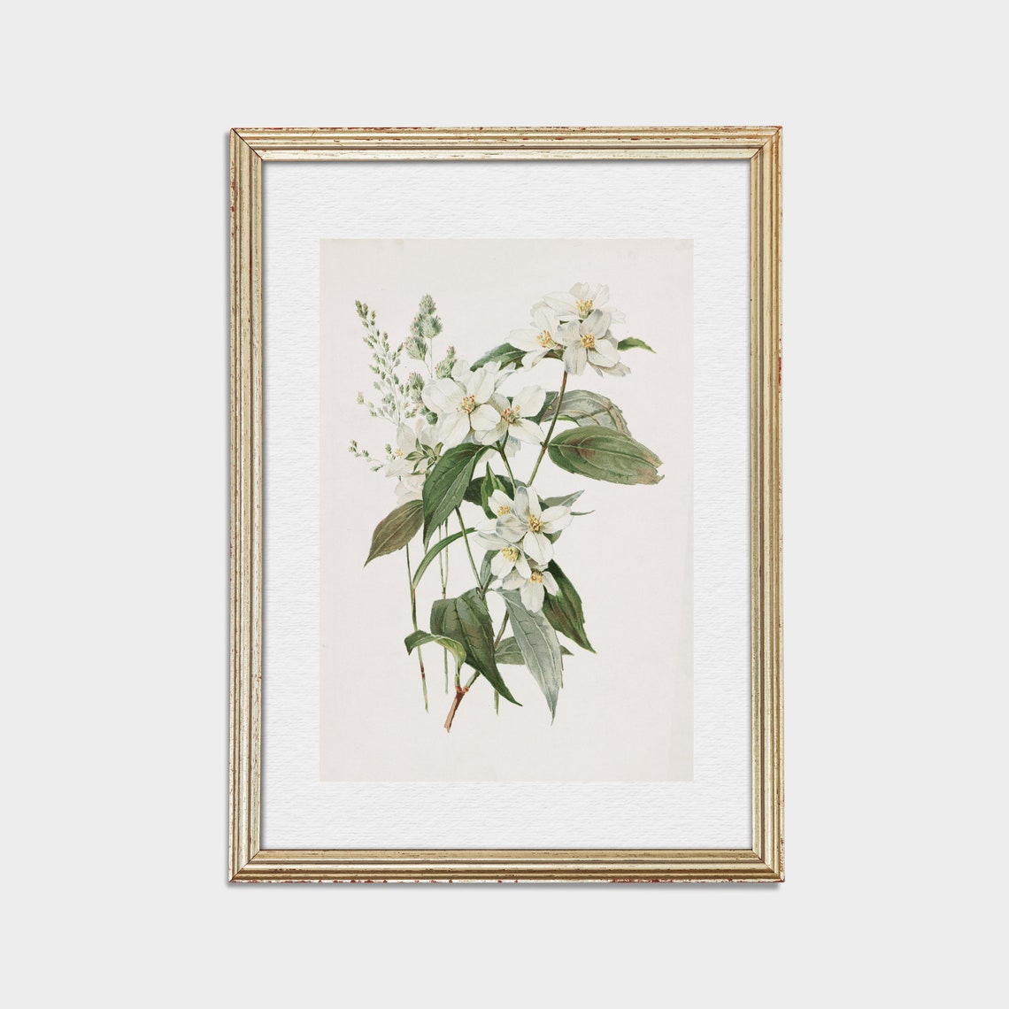 Vintage Botanical Print Antique Flower Art Wall Art Farmhouse French Country Decor Floral Painting - Image 3