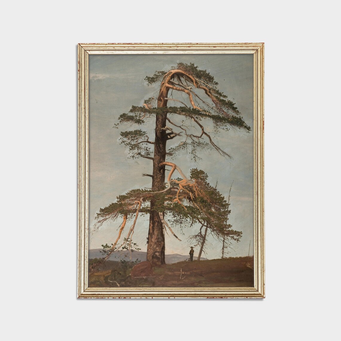 Windswept Pine Tree on a Hilltop Vintage Oil Painting Art Poster - Image 2