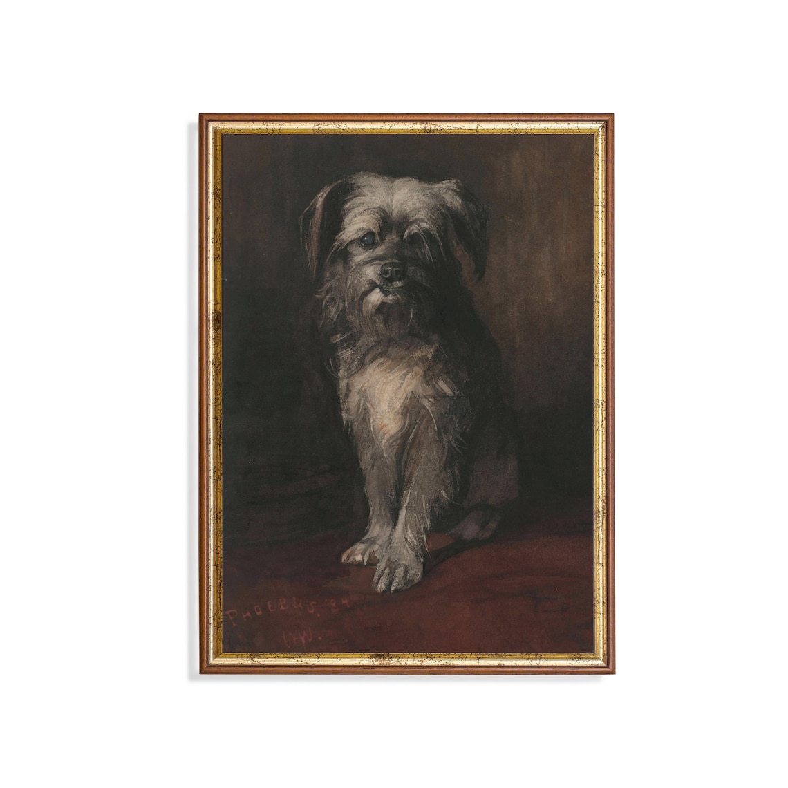 Shaggy Terrier Dog Portrait Antique 1890 Animal Oil Painting Poster