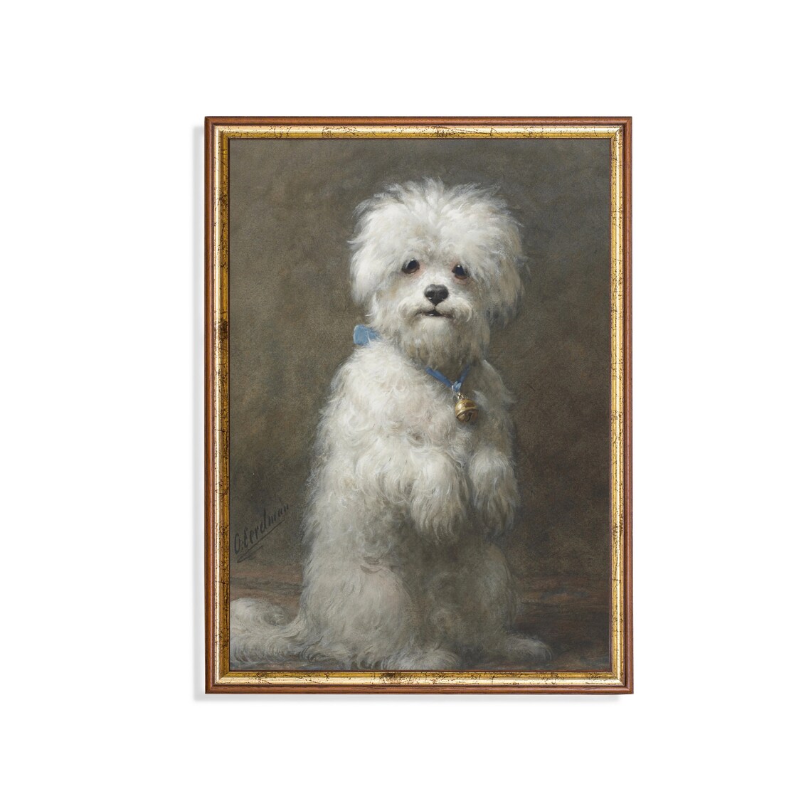 Antique White Lapdog Portrait Blue Collar Bell Pet Painting Poster