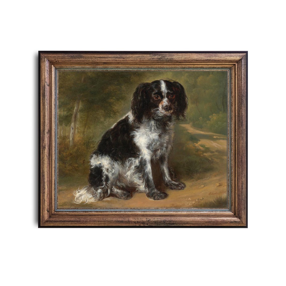 Black and White Spaniel Sitting on a Woodland Path Portrait Poster - Image 2