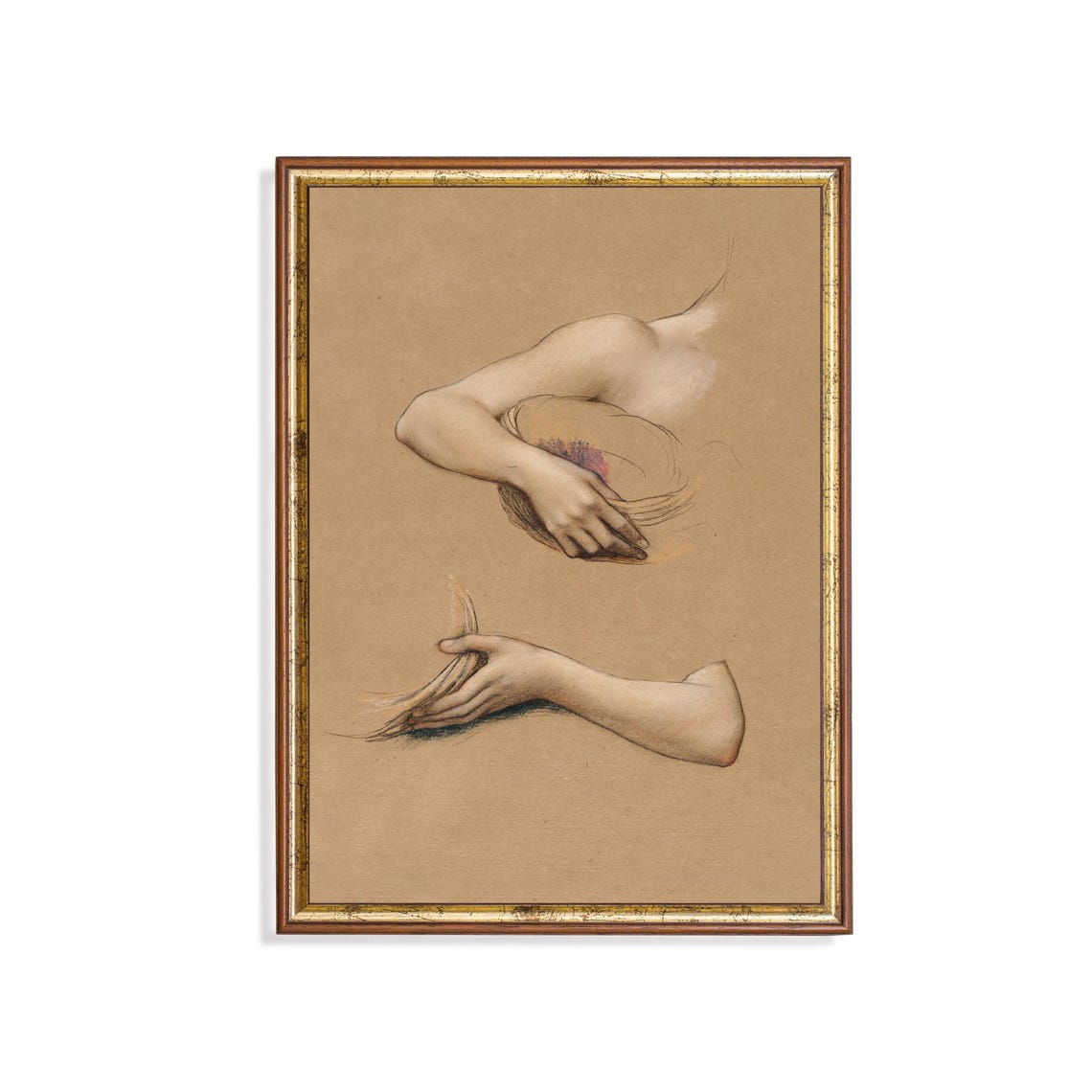Classical Study Of Arms And Hands Colored Chalk Drawing Poster