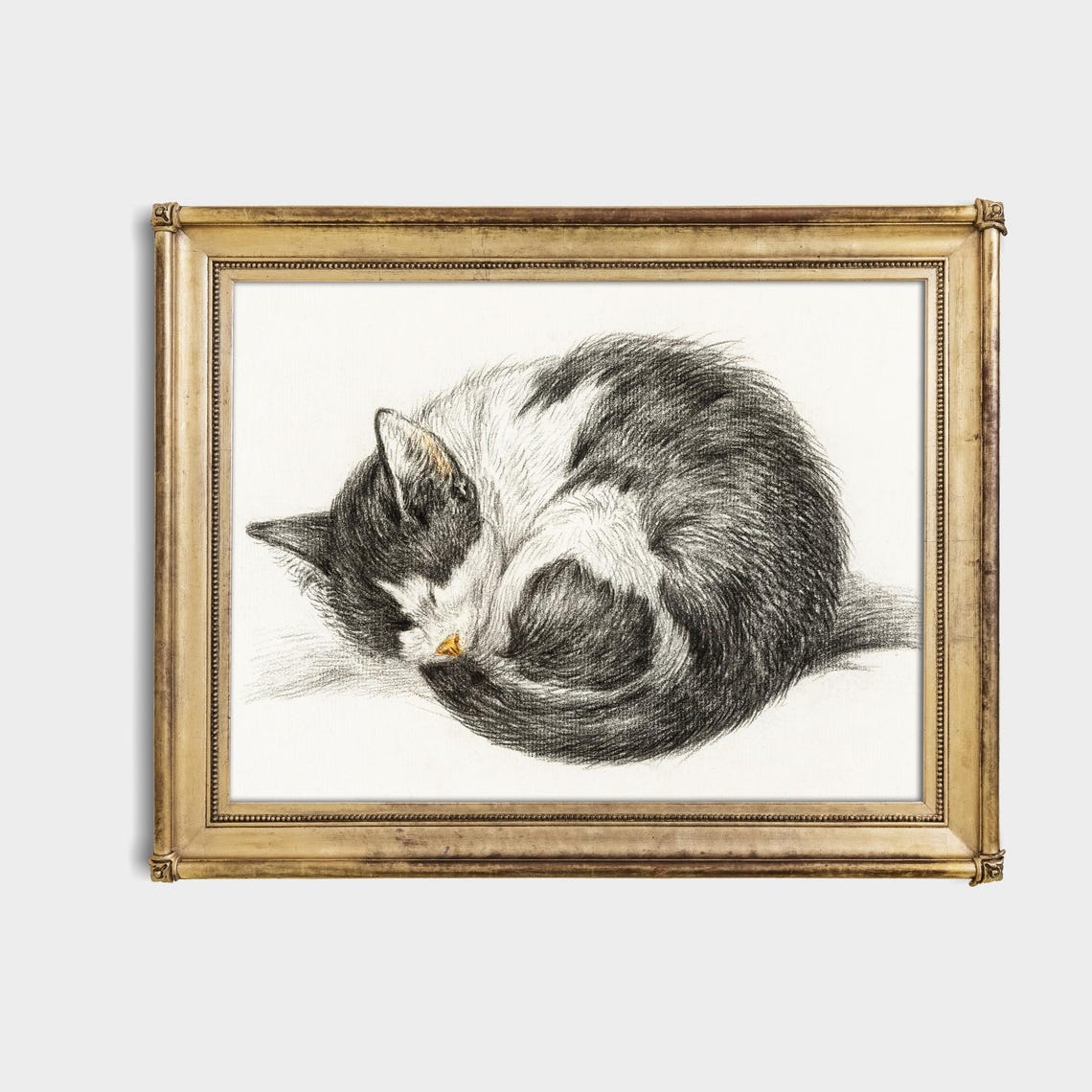 Sleeping Tabby Cat Curled in a Ball Vintage Graphite Sketch Poster - Image 4