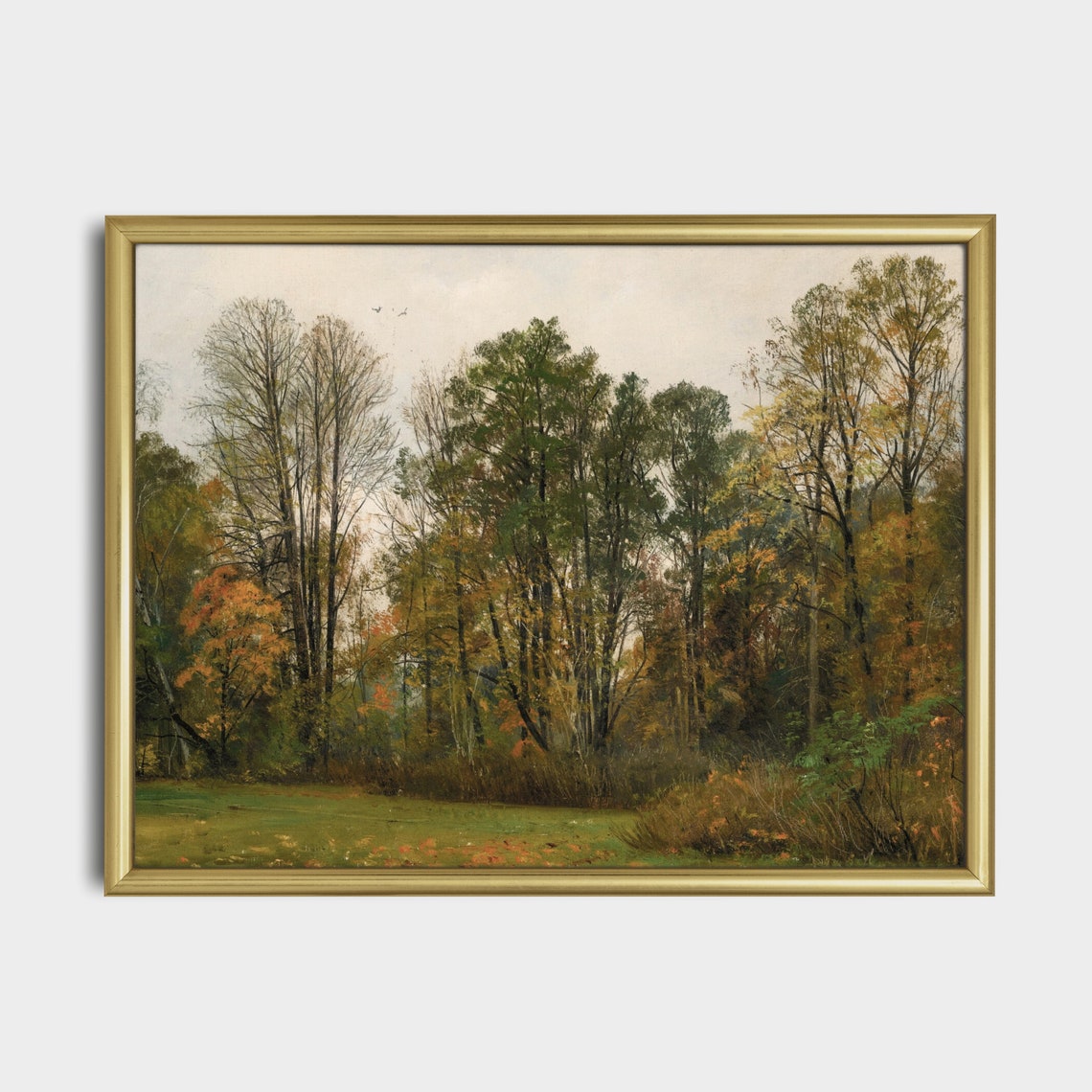 Autumn Woodland Edge with Gold-Tinged Trees Fall Landscape Poster - Image 4