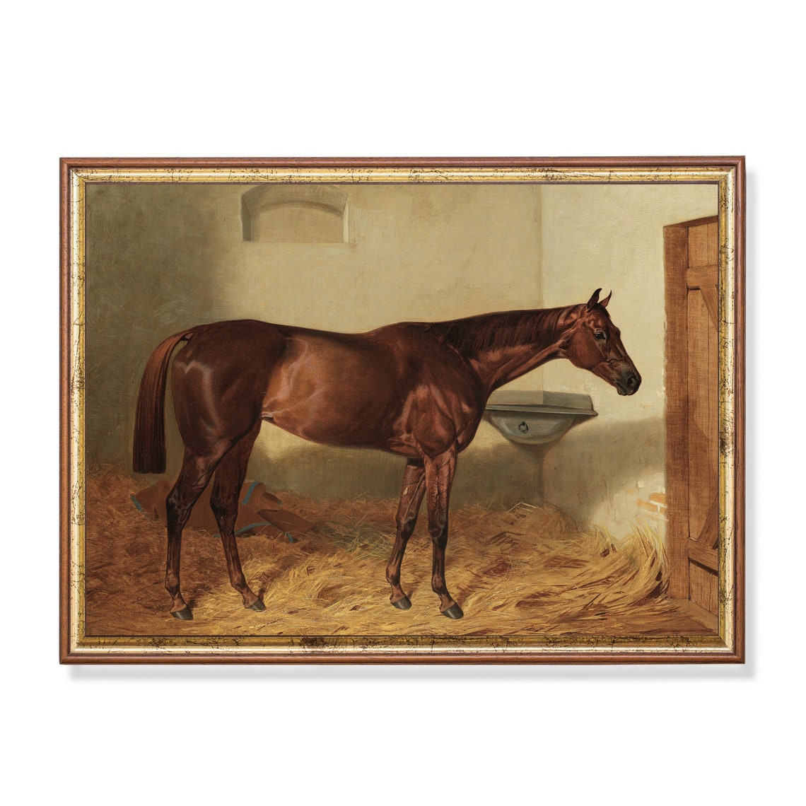 Bay Horse Standing in a Sunlit Stable Equestrian Portrait Poster