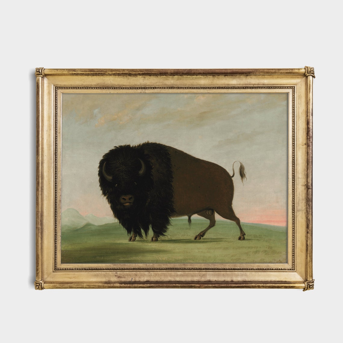 American Bison Bull Standing on the Open Prairie Vintage Animal Poster - Image 2