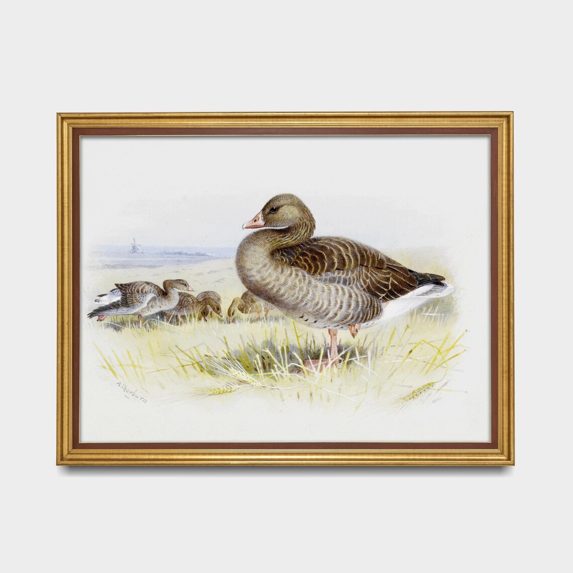 Goose With Goslings Grazing In A Green Field Vintage Bird Poster - Image 5