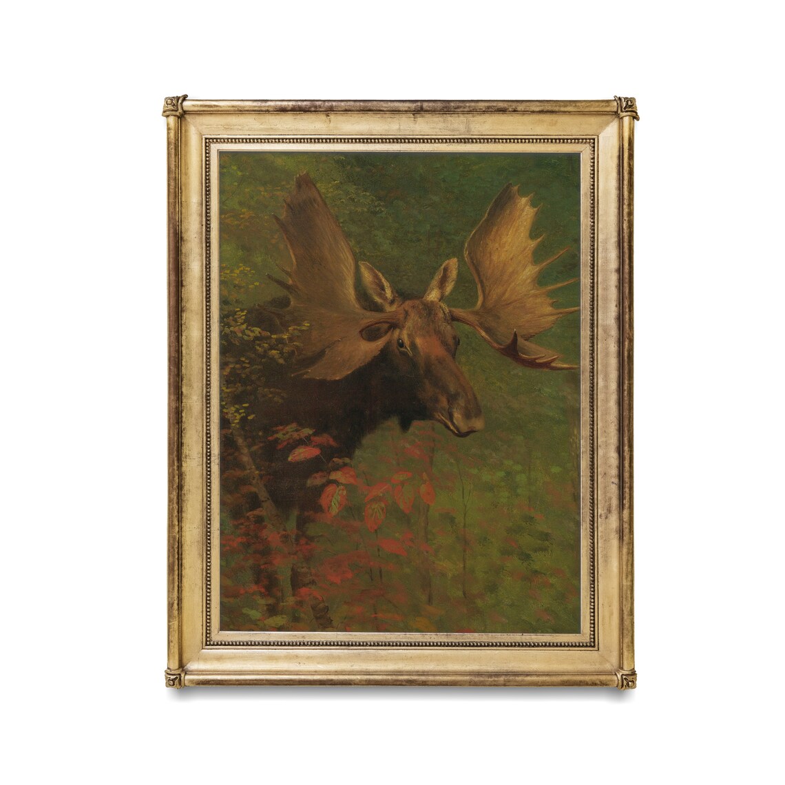Bull Moose With Grand Antlers in an Autumn Forest Vintage Poster - Image 2