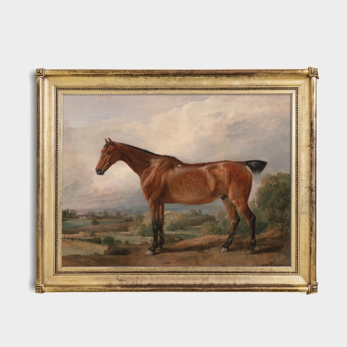 Bay Horse Standing in Rolling Green Hills Antique Equestrian Poster - Image 4