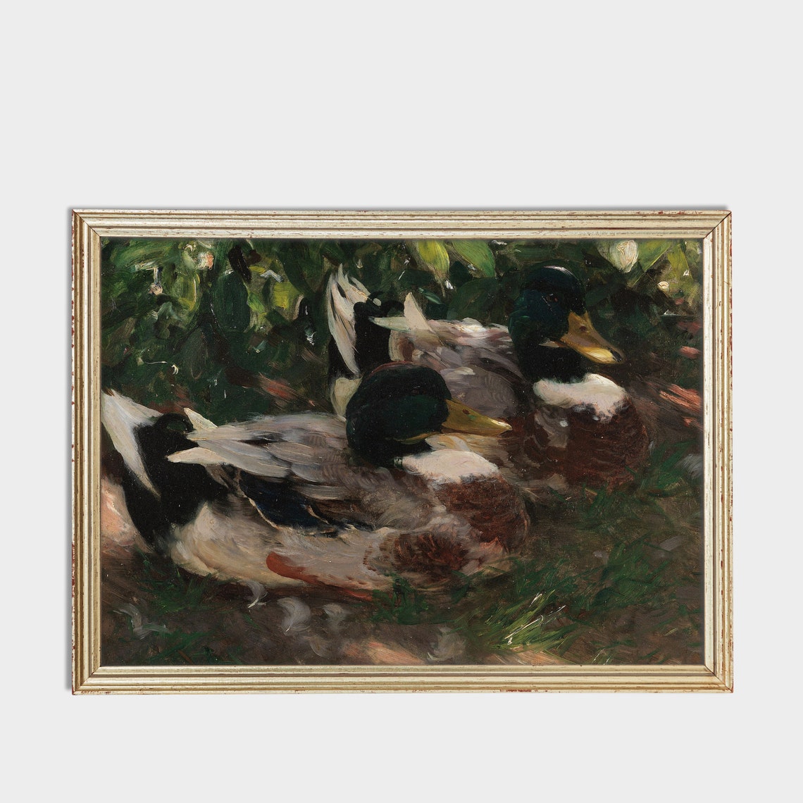 Two Resting Mallard Ducks in the Grass Vintage Wildlife Poster - Image 2