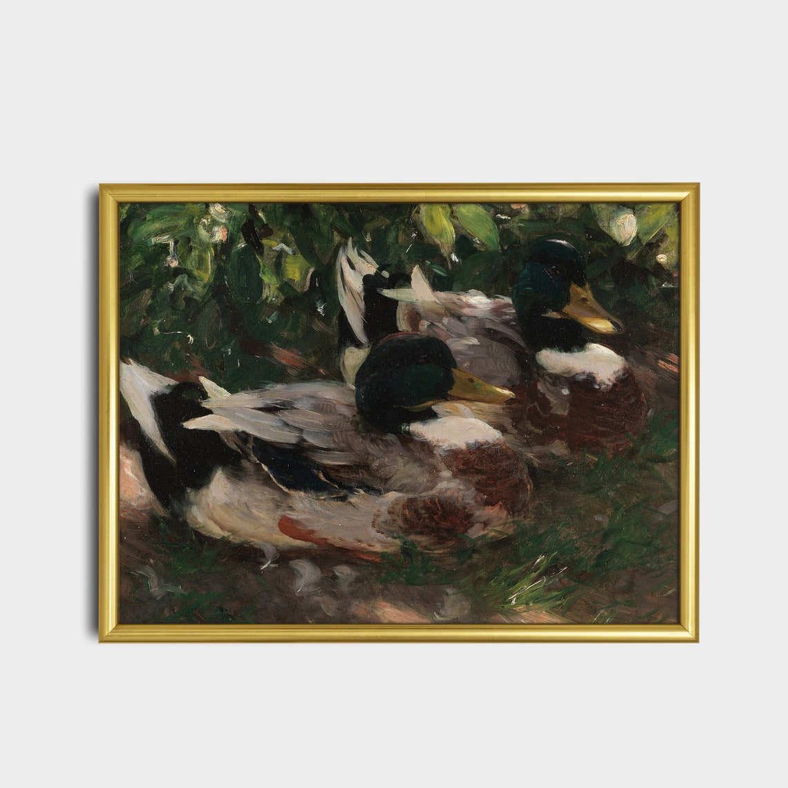 Two Resting Mallard Ducks in the Grass Vintage Wildlife Poster - Image 5