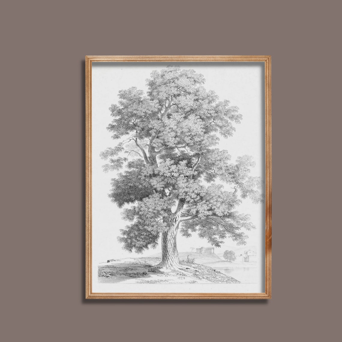 Single Tree Pencil Sketch on White Antique Botanical Drawing Poster - Image 4