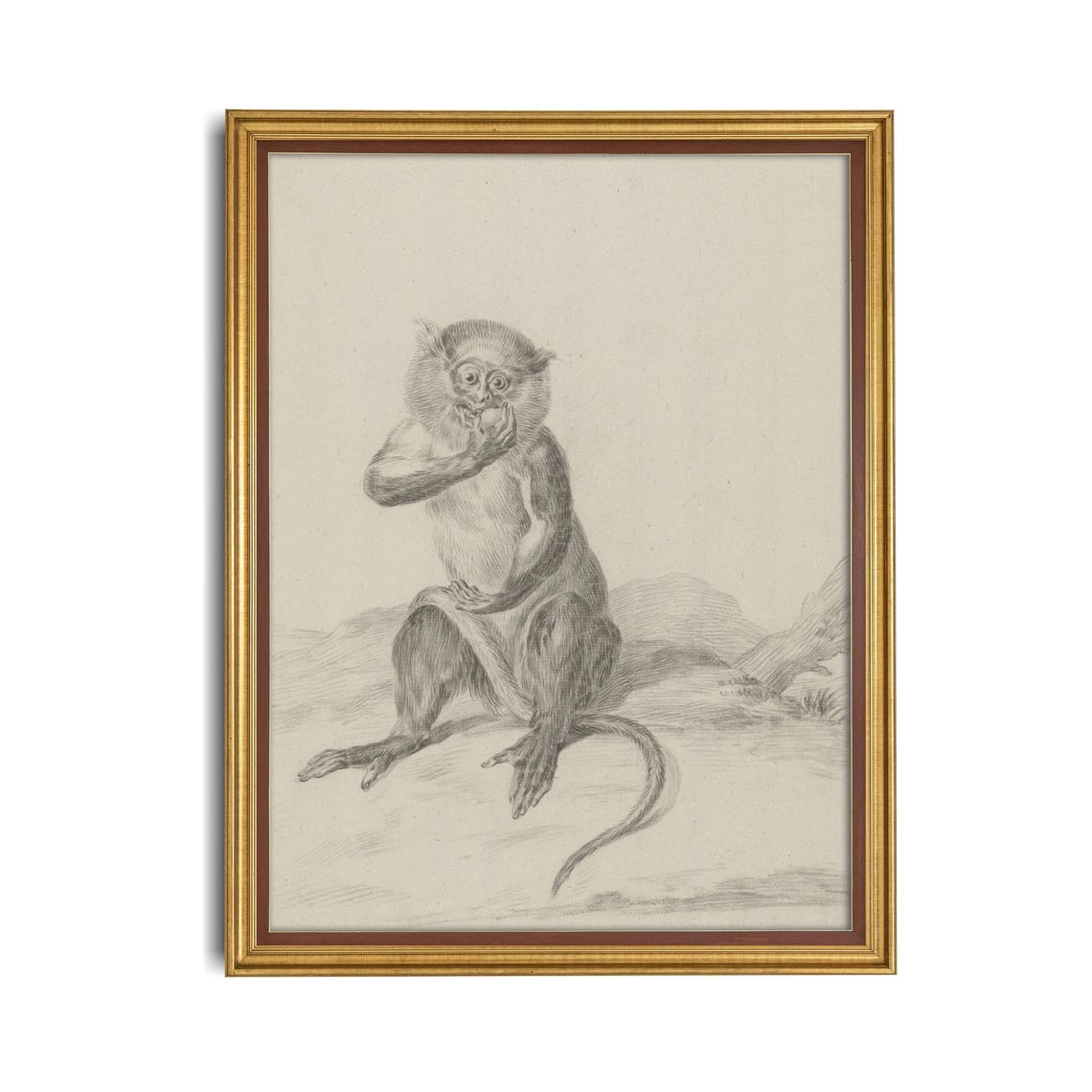 Seated Monkey Eating Fruit Vintage Graphite Animal Sketch Poster - Image 4