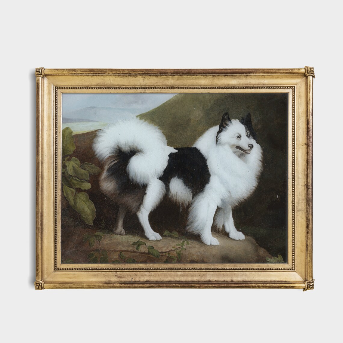 Fluffy Black and White Spitz Dog Standing on a Rock Portrait Poster - Image 3
