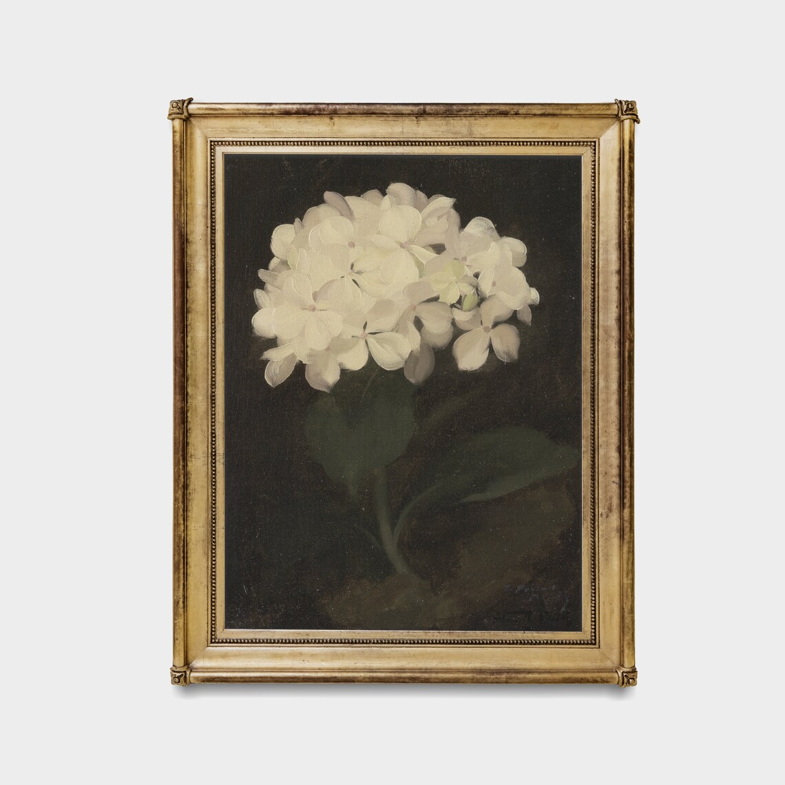 Hydrangea Vintage Botanical Art Print, Farmhouse Decor - Image 2