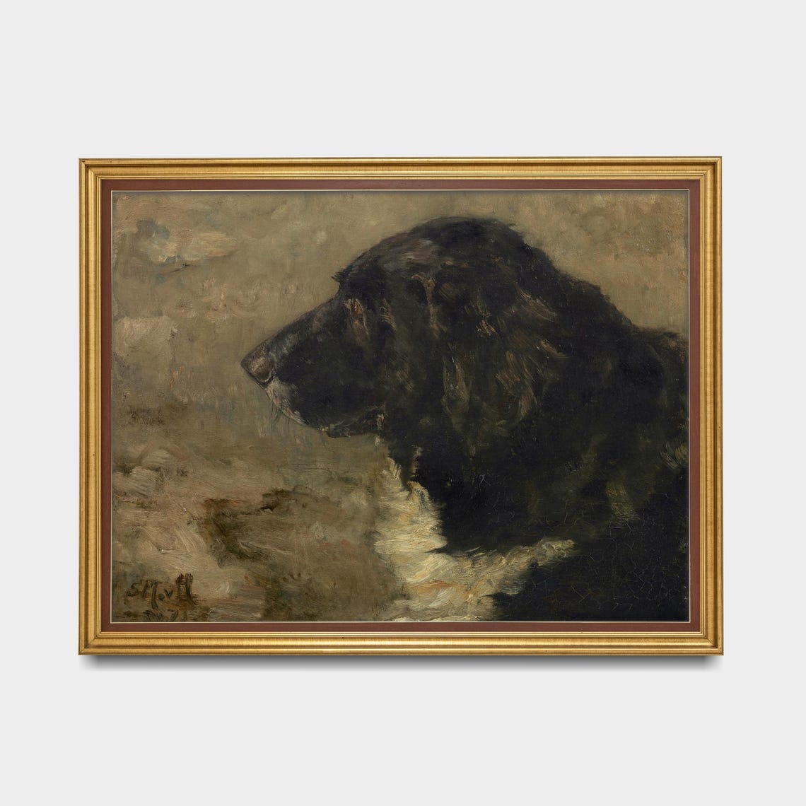 Black Spaniel Dog in Profile Moody Vintage Pet Portrait Poster - Image 5