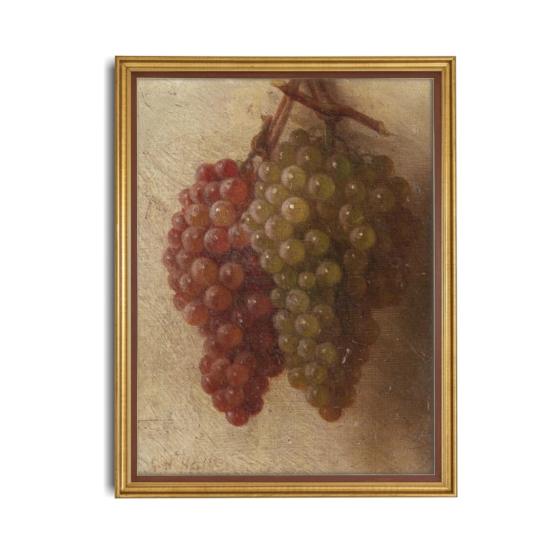 Hanging Red and Green Grape Clusters Still Life Study Poster - Image 4
