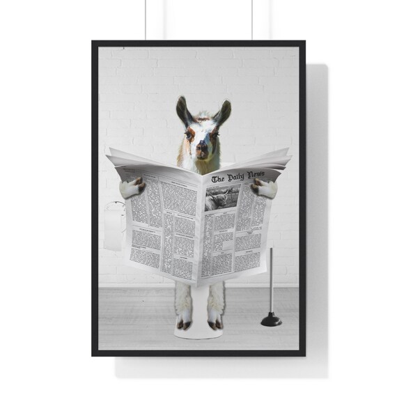 Llama Reading Newspaper Funny Bathroom Humor Animal Art Poster