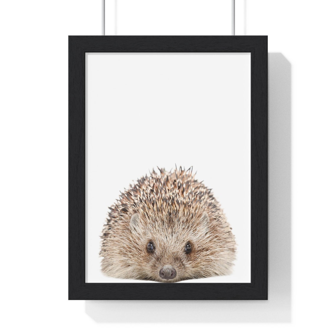 Baby Hedgehog Curled Up Portrait in Soft Color Nursery Poster - Image 2