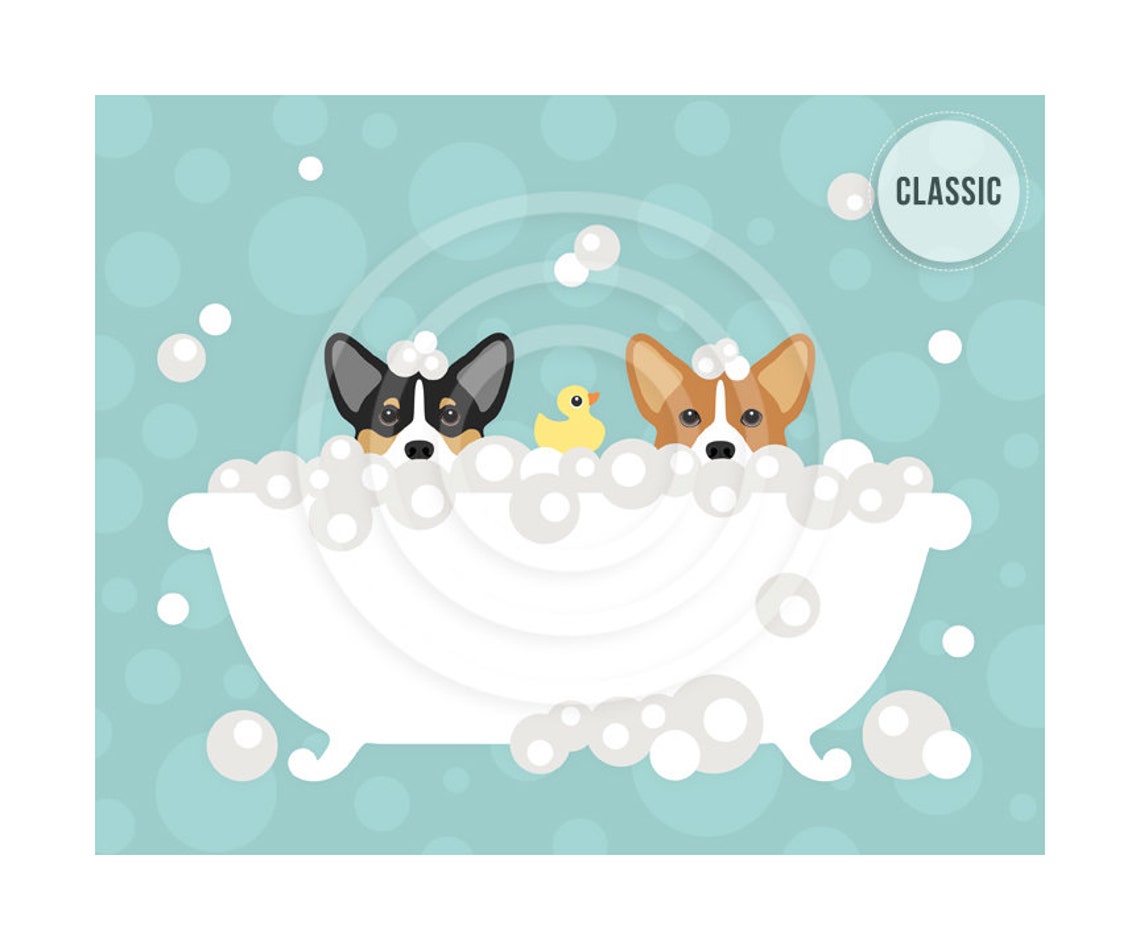 Two Corgi Dogs Peeking Bubble Bath Rubber Ducky Teal Bathroom Poster