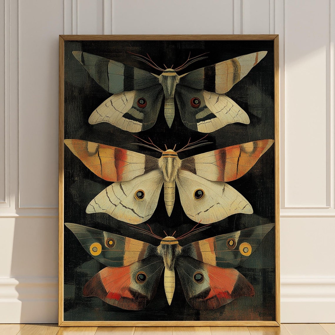 Vintage Three Moth Entomology Specimen Dark Academia Gothic Poster