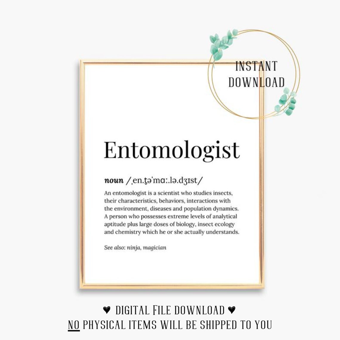 Entomologist Definition Dictionary Serif Funny Ninja Wizard Poster